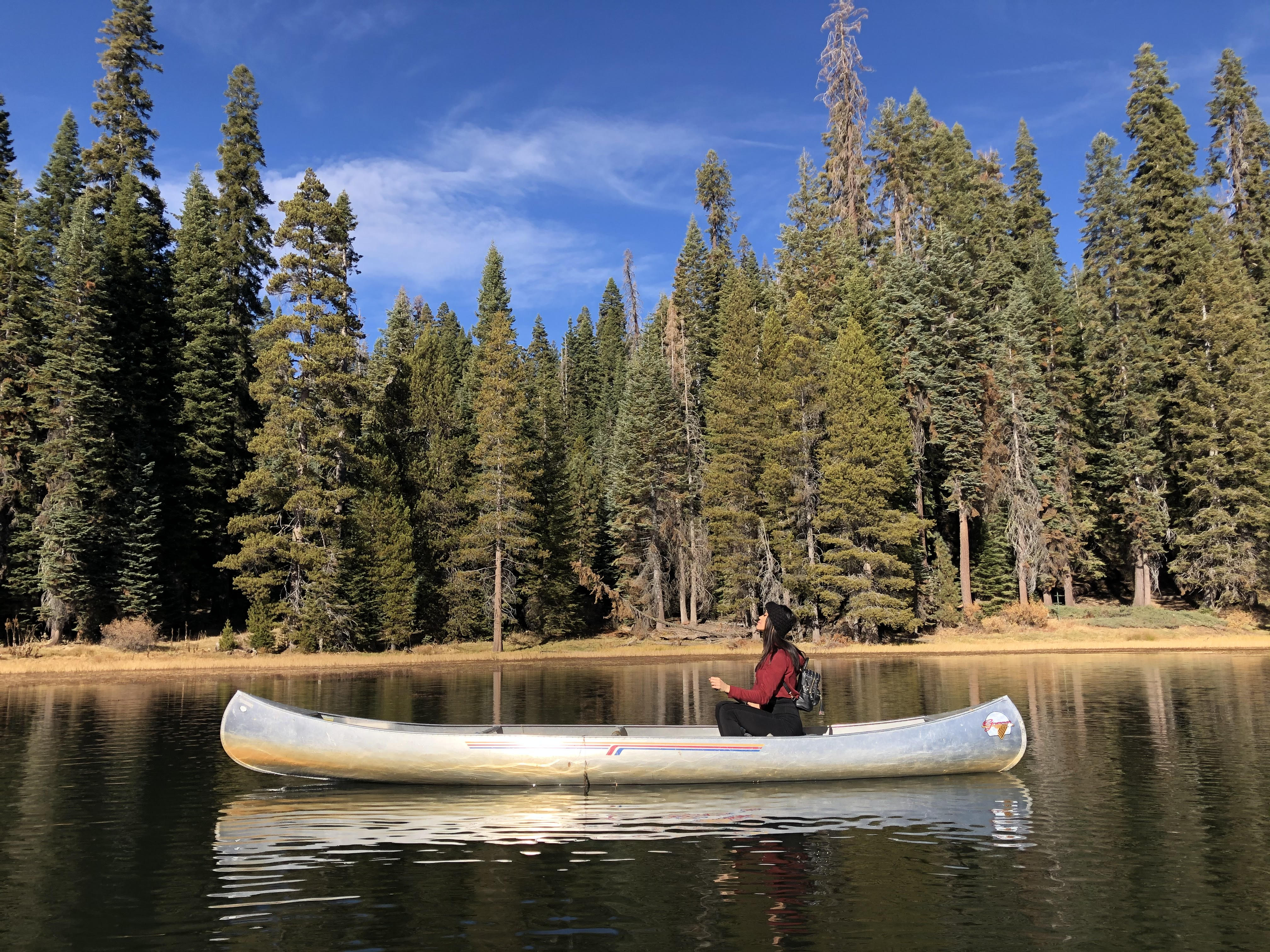 Platinum thoughts…